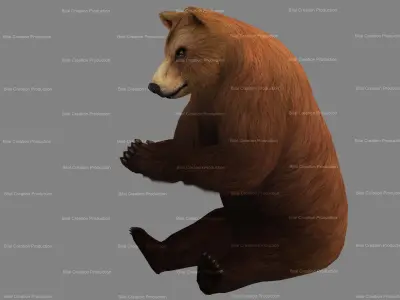 Bear Rigged Animated 10 Low-poly 3D model