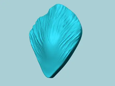 Tulip Flower Petal 02 - Moulding Artificial Craft 3D print model