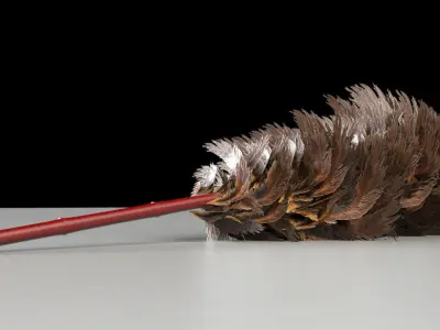 Feather Duster 3D model