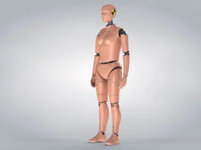 Female Crash Test Dummy -  3 Texture Sets in 1 3D model