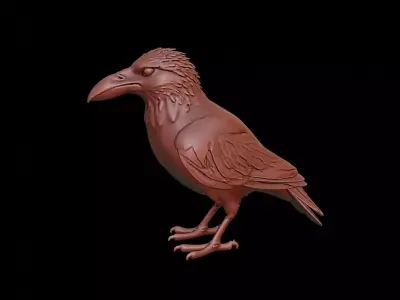 Crow Animal Sculpture 3D print model buy