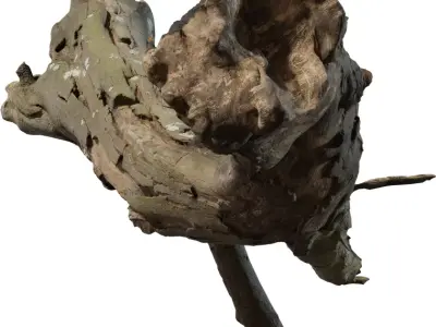 Photoreal Fallen Log  Low-poly 3D model