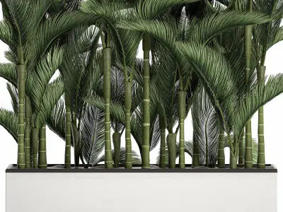 Palm in a white pot for the interior 671 3D model