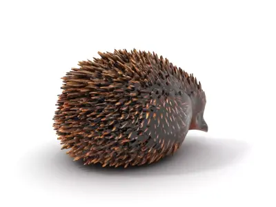 Spiky Echidna model pack Low-poly 3D model