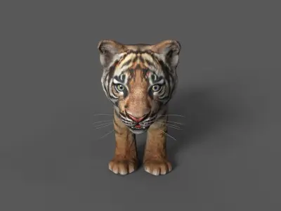 Tiger Cub Game Ready Low-poly 3D model