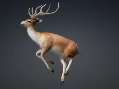 Deer-C1 3D model