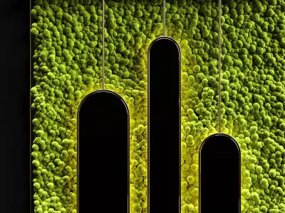 Stabilized moss and mirrors 3D model