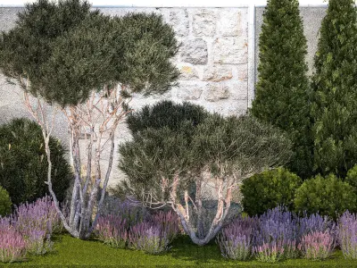 Garden with thuja trees and pine topiary lavender bushes 3D model
