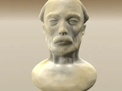 Bearded Man Bust 3D model