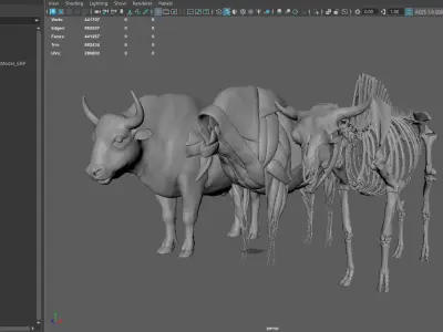 European Bison  muscle file 3D model