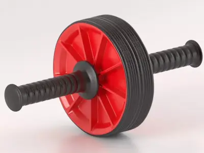 Gymnastic Roller 3D model