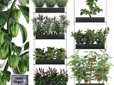Vertical garden for the kitchen 70 3D model