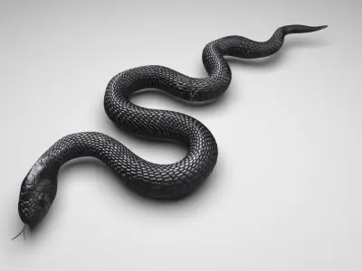 Snake 3D model