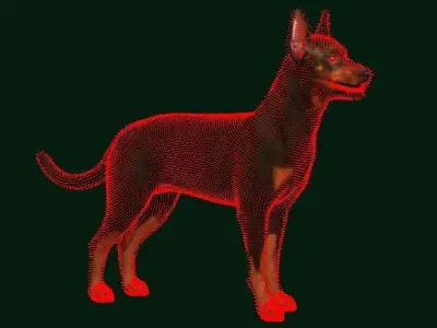 Zwergpinscher Dog Breed 3D model