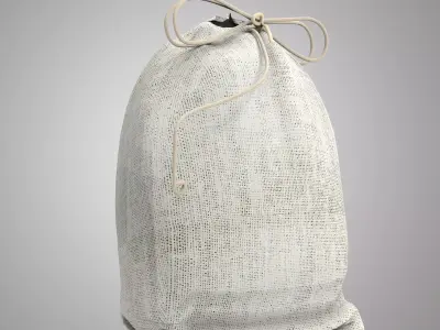 Nice  Bag Free low-poly 3D model