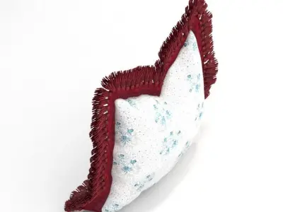 Schumacher Custom Square Pillow 3D model