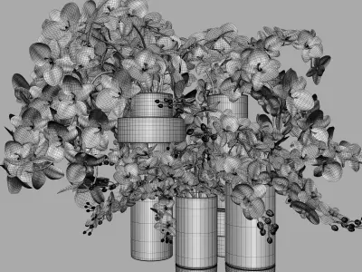 Flower Set 009 Orchids 3D model