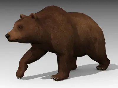 Grizzly Bear Animated Low-poly 3D model