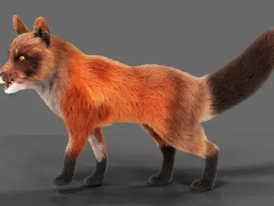 Fur Fox Rigged 01 Low-poly 3D model