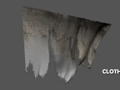 Seamless FBX Torn Cloth Animations 3D model