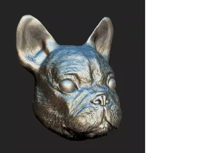 Sculpted dog face  3D model