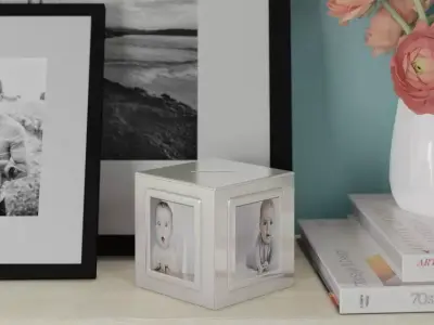 Sabbagh Metal Shadow Box Picture Frame Free 3D model