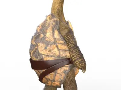Captain Turtle 3D model
