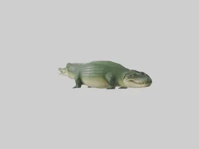 Crocodile Scales Model Low-poly 3D model