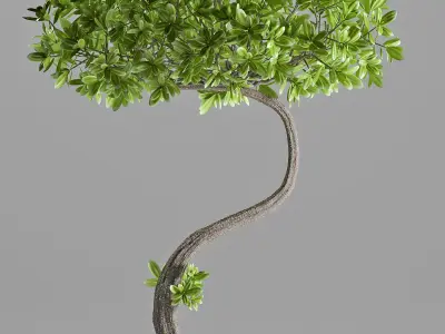 miniature plant 146 3D model