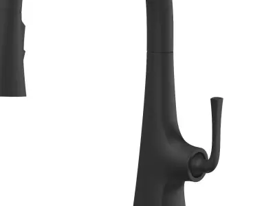 Kohler Graze Pull Down Kitchen Sink Faucet 3D model