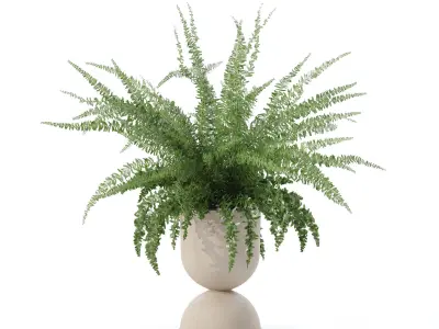 Fern in modern flower pot 3D model