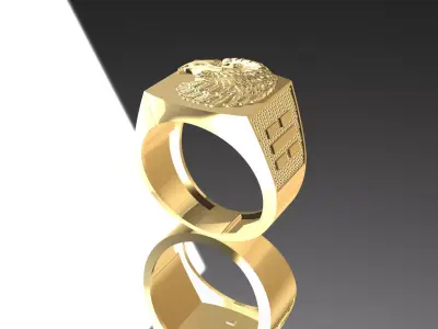 Eagle Rings Texture 3D print model 3D print model