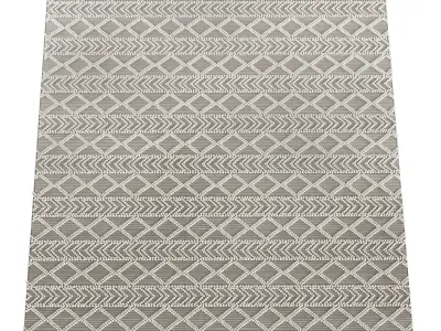 MiiiM Woven Rug 02 3D model