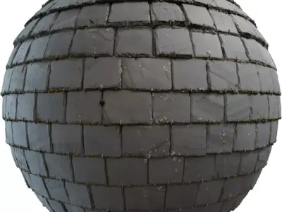Weathered Slate Tile Roof  Texture