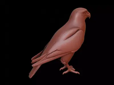 Falcon Animal Sculpture 3D print model buy
