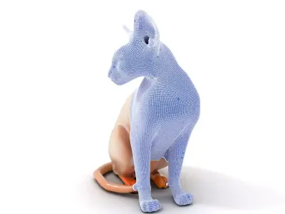 Sphynx Cat Elegance model pack Low-poly 3D model