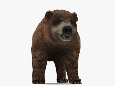 Bear - Rigged Low-poly 3D model