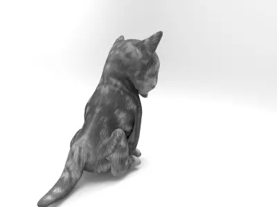Cute pet cat model 3d low poly Rigged Low-poly 3D model