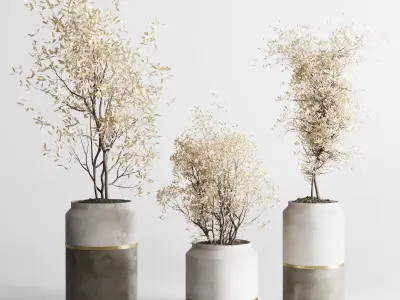 Indoor plant autumn set 304 concrete vase plant tree bush pot Low-poly 3D model