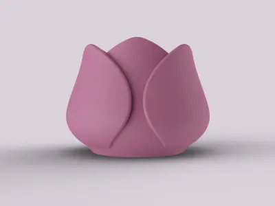 Decorative Tulip Succulent 3D print model
