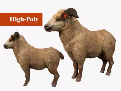 fluffy ram sheep rig  high-poly textured 3D model