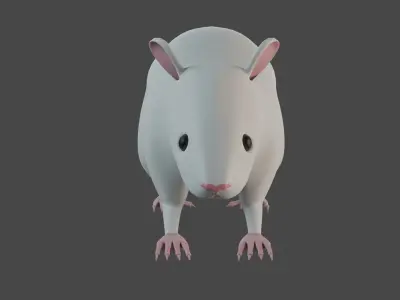 Rat 3d model 3D model