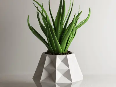 pot collection a02 5 pots