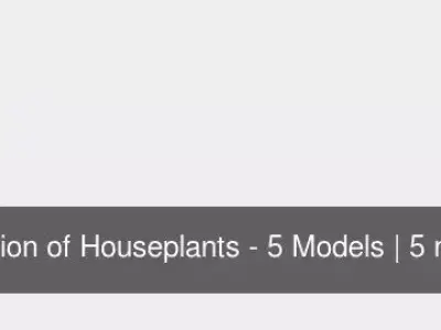 Collection of Houseplants - 5 Models