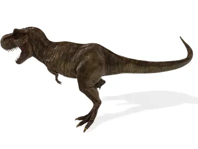 King Trex Highly Detailed Tyrannosaurus Rex 3D model