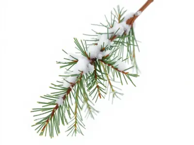 Snowy Pine Branch D Model Pack for Environmental Design Low-poly 3D model