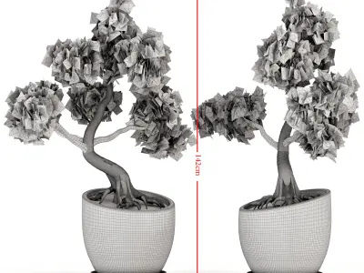 Plant bonsai-01 3D model