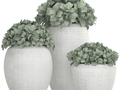 Collection of plants in pots 3D model