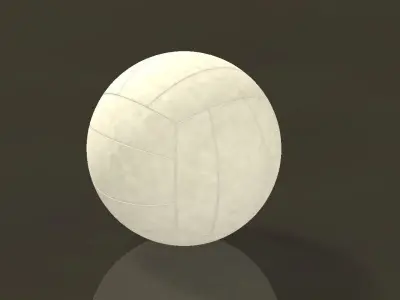 Volleyball ball with skull Free 3D model