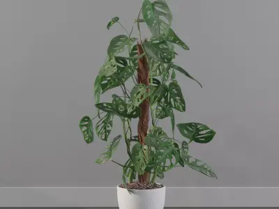 Monstera monkey mask 3D model